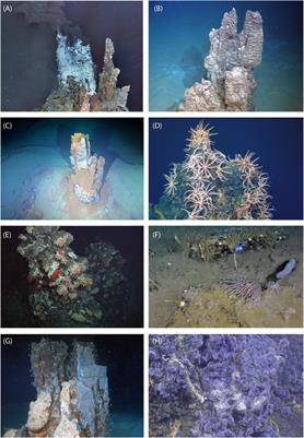 Inactive Sulfide Ecosystems in the Deep Sea: A Review